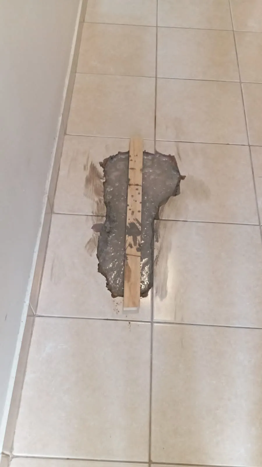 Ejemplo de daño por rotura de cañería, foto 6